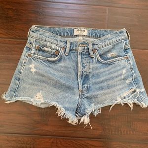 NWOT Agolde Parker Swapmeet 24